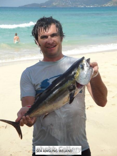 Blackfin Tuna 2010