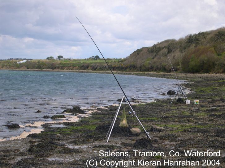 Sea Angling in Ireland - THE BOATS / LOUTH