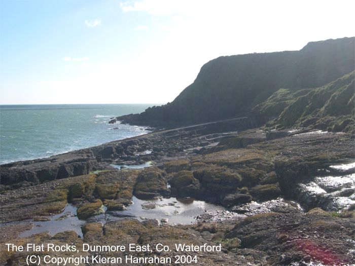 Sea Angling in Ireland - THE BOATS / LOUTH