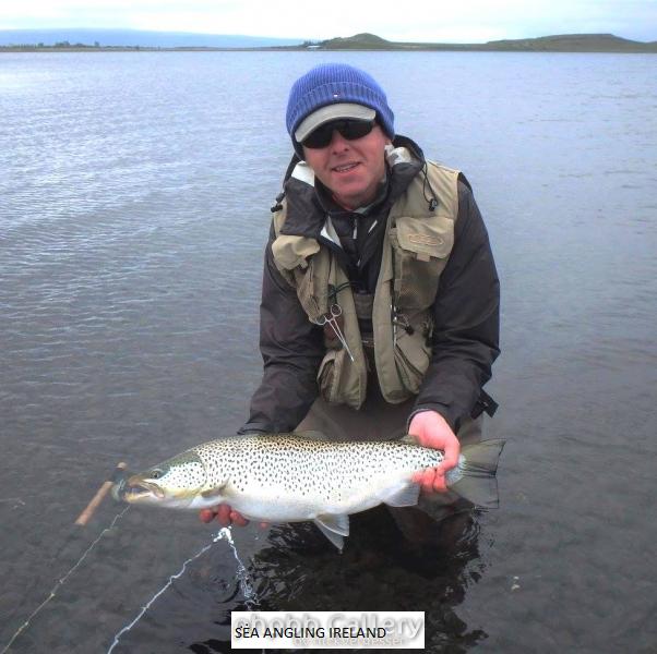 10.5lb Brown Trout