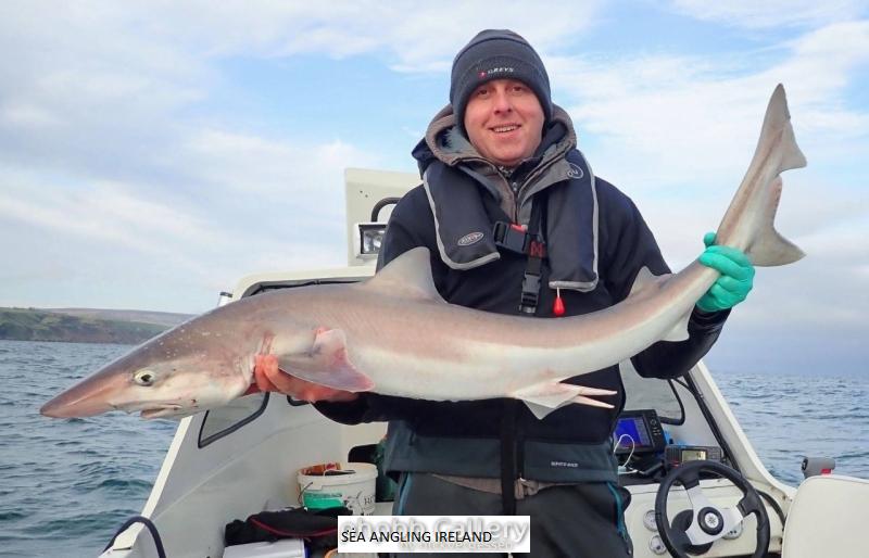 32lb Tope