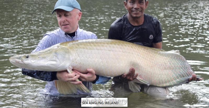 110lb Arapaima