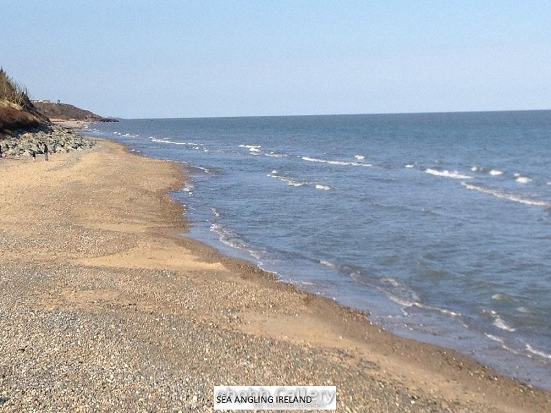 courtown april 2013 2