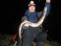 Conger 2