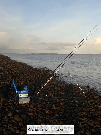 Carrig Island East Stephen's Day 2013