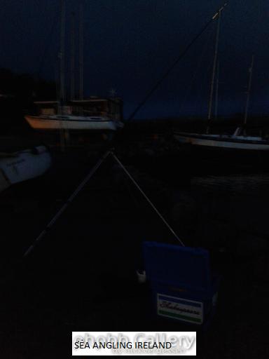 Foynes Morning Stephen's Day 2013