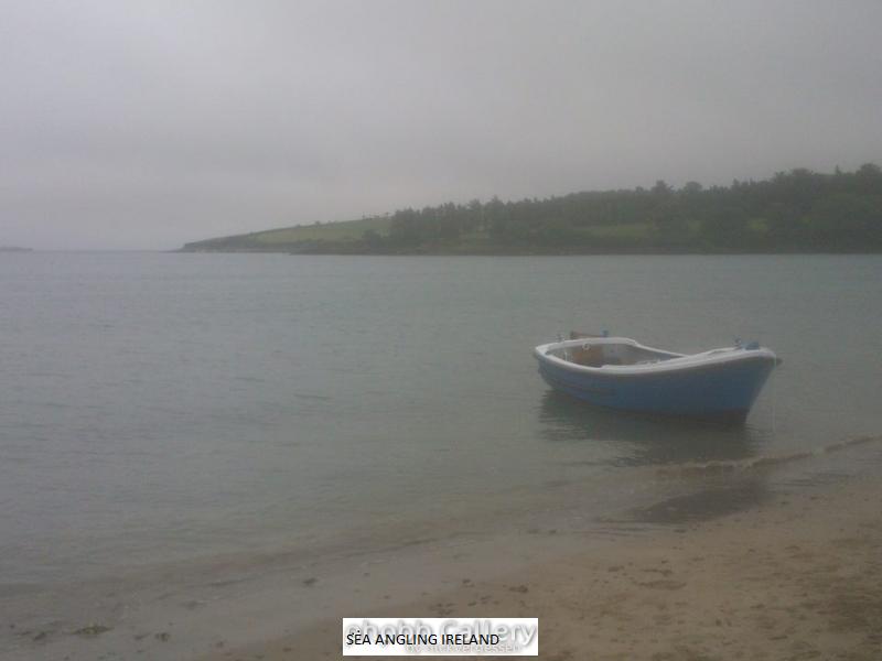 Fountainstown July 2014