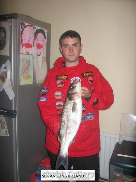 bass