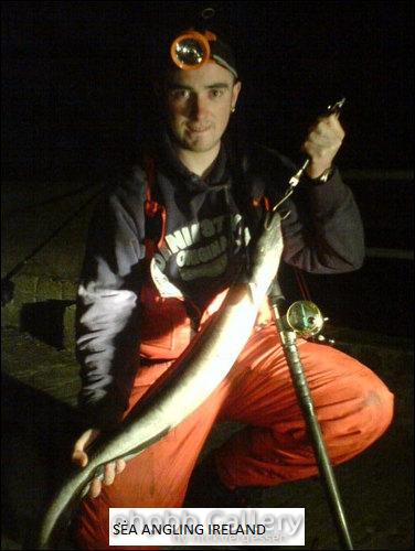 bray 2006