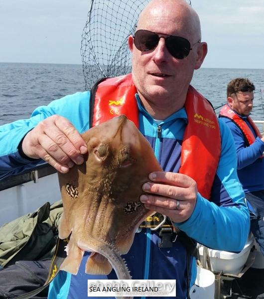 Kieran's Cuckoo Ray May 2018