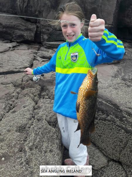 Aoibheann's big Ballen Wrasse