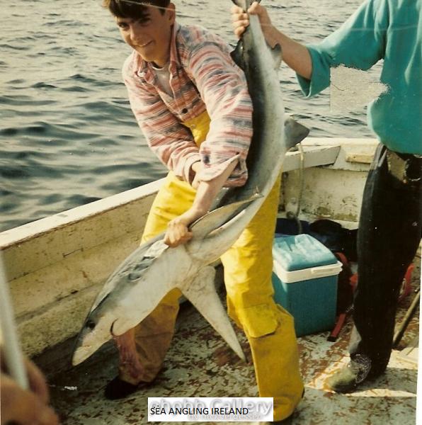 blue shark 1993
