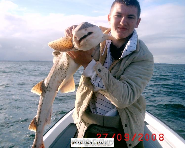 the son clyde with 14lb huss bettystown 2010