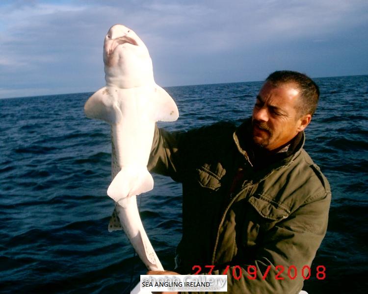 myself with another 14lb huss bettystown 2009