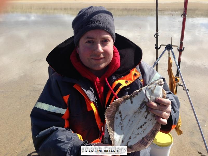 41cm flounder