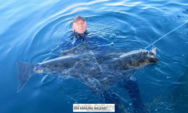 150lb Halibut