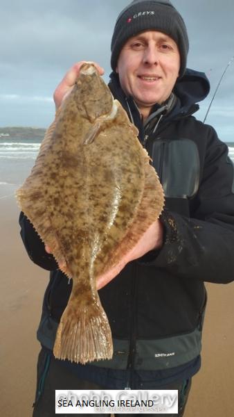 42cm Flounder