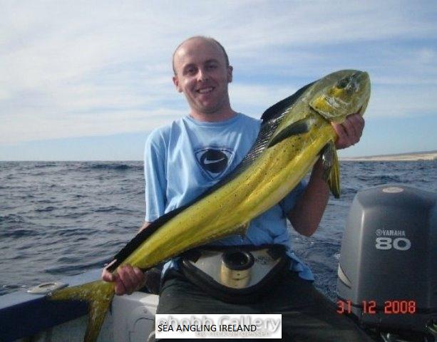 23lb Dorado