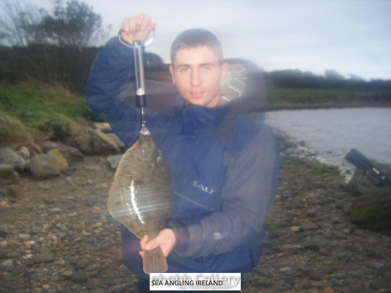 Specimen Flounder 2