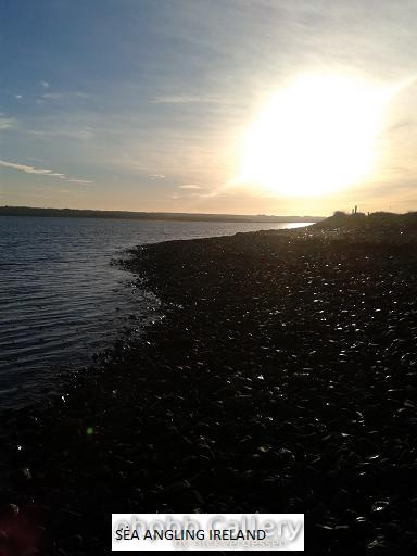 Carrig Island East Stephen's Day 2013