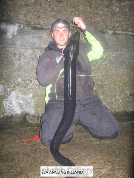 17lb conger on beach caster 2009