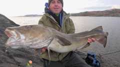 27lb Cod