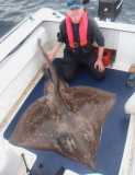 120lb Common Skate