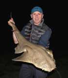 27lb Angelshark