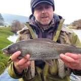 3lb2oz Grayling