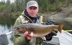 Brook Trout