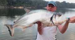 20lb Payara