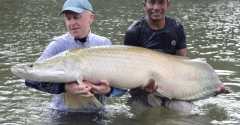 110lb Arapaima