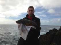 Beara Wrasse