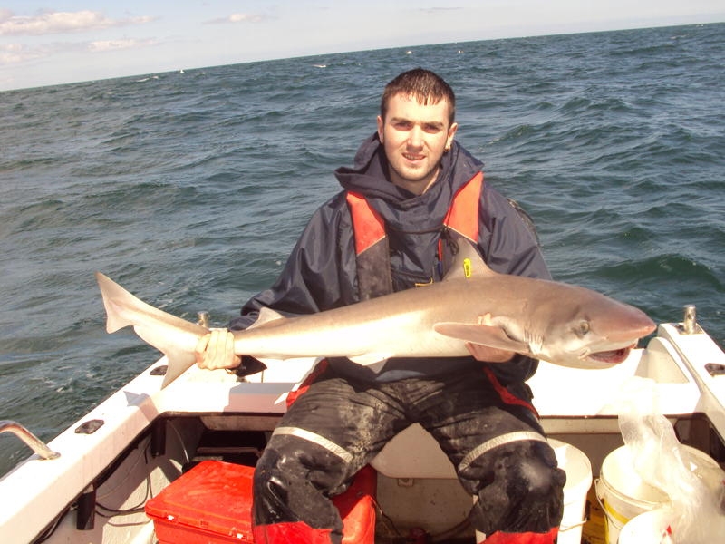 bray tope 2010