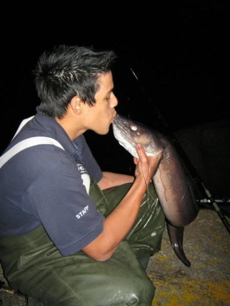 2010 kiss kiss