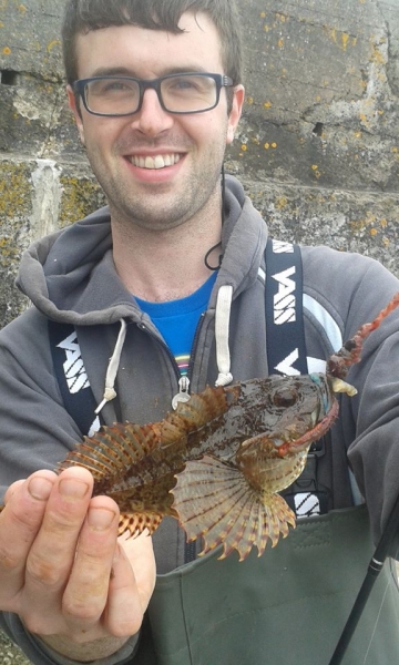 Sea scorpion