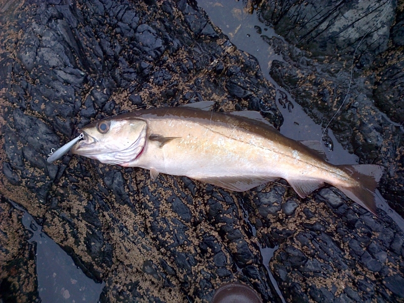 IMG-20120925-00021 (800x600)