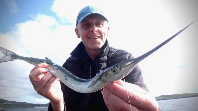 Gar